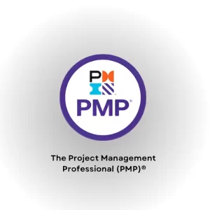 Project Management Professional(PMP)